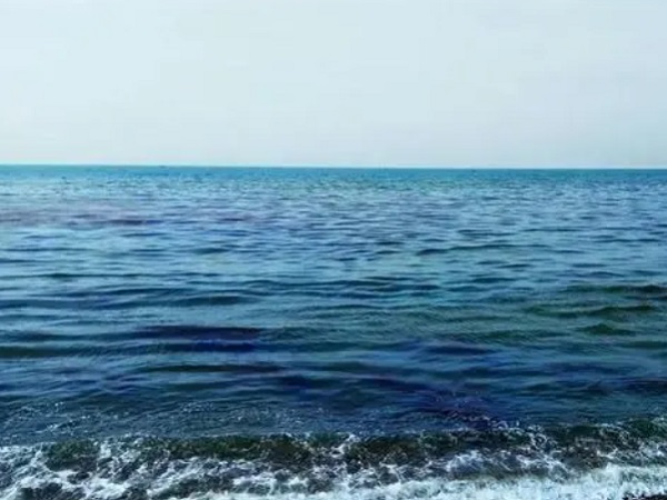 日本核廢水將排海-影響何以估量？